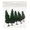 Mini sapins d’Ashland